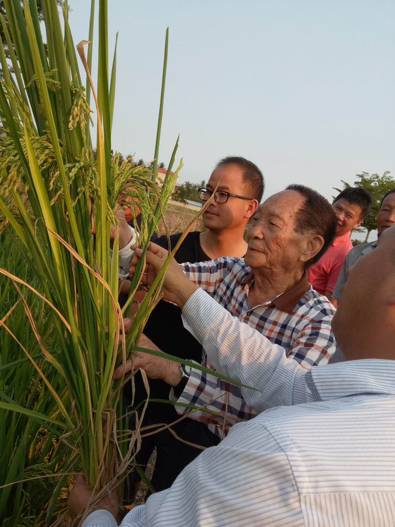 1524116940396006774.jpg 微信图片_20180418102343.jpg