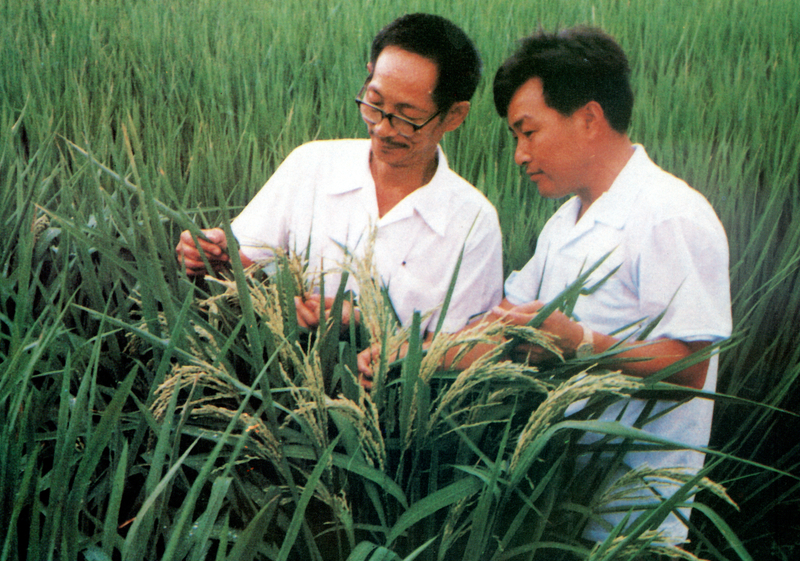 1767490773227054199.jpg 1.jpg